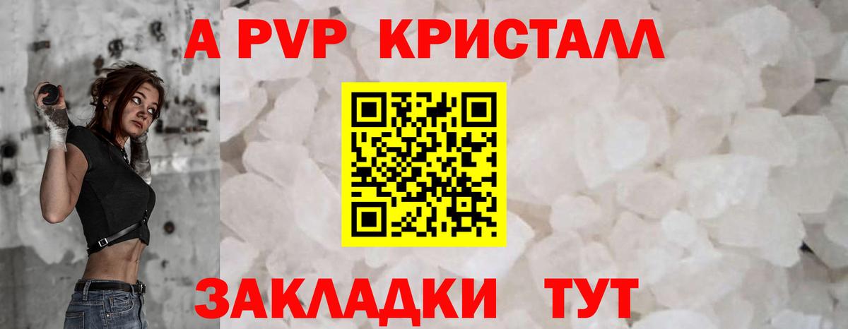 Alfa_PVP СК Вологда