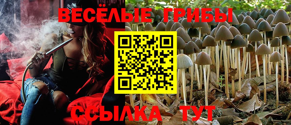Вологда  Псилоцибиновые грибы прущие грибы  где найти   Вход с VPN 