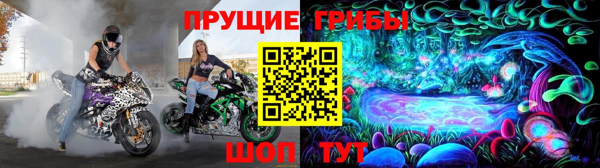 Галлюциногенные грибы прущие грибы Вологда